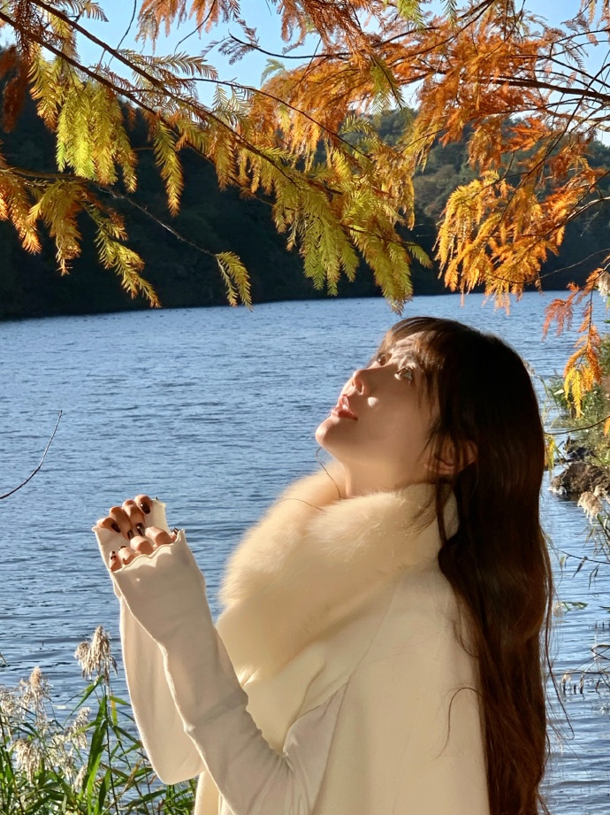 度华年 封面